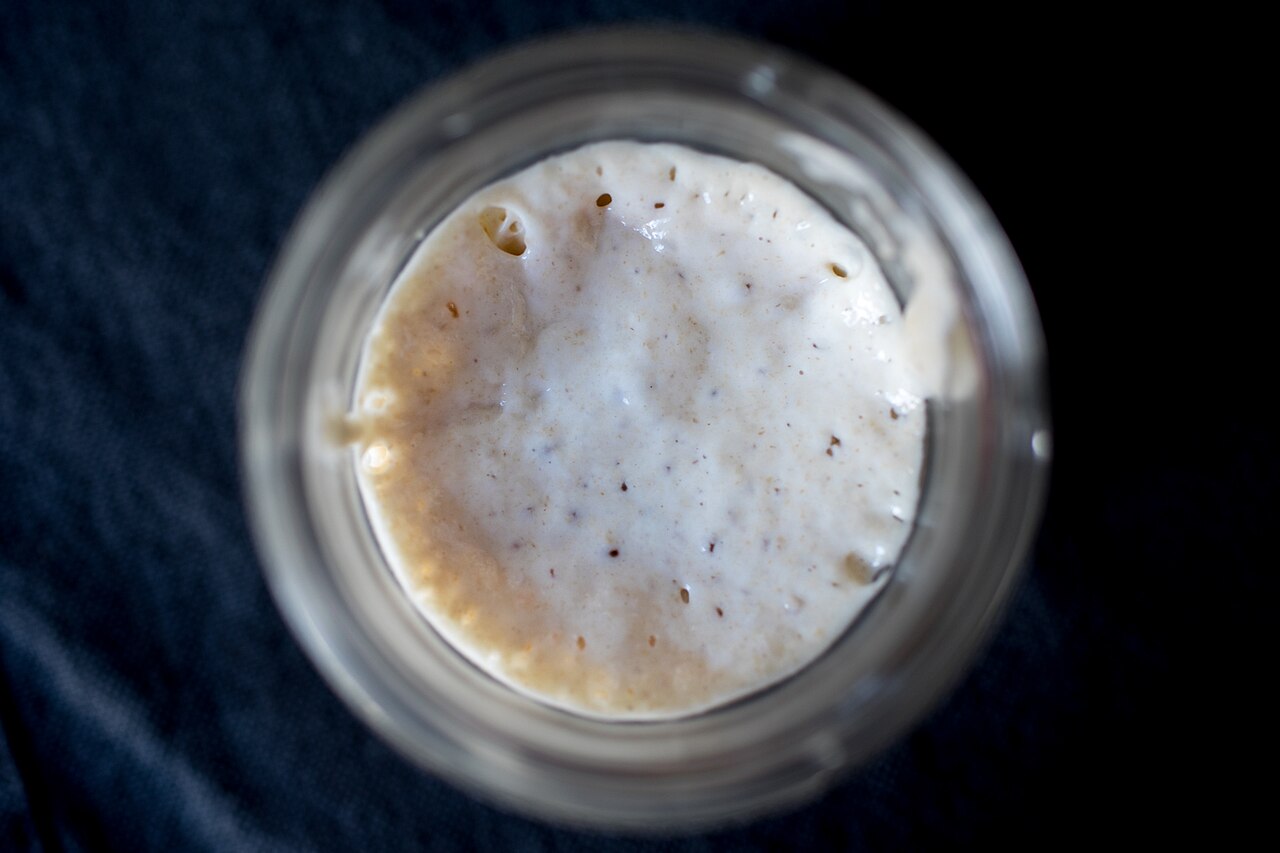 A living sourdough starter showing bubbles produced during fermentation.